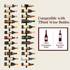X-cosrack configuration longue montrant 12 bouteilles exposées efficacement