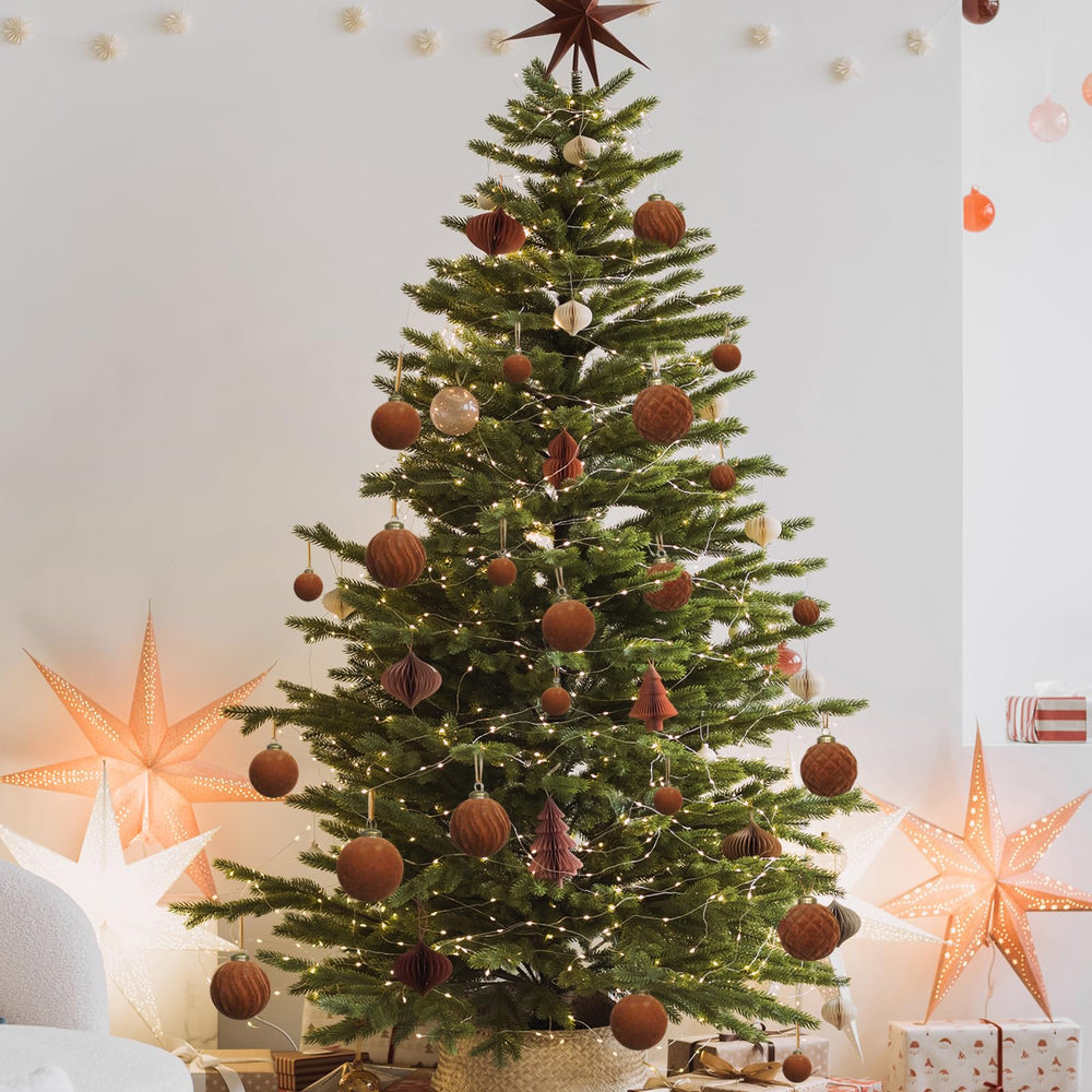 XmasExp packaging compact facilitant rangement et réutilisation