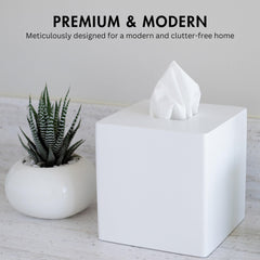 YEW DESIGN profil montrant les lignes nettes et le design moderne