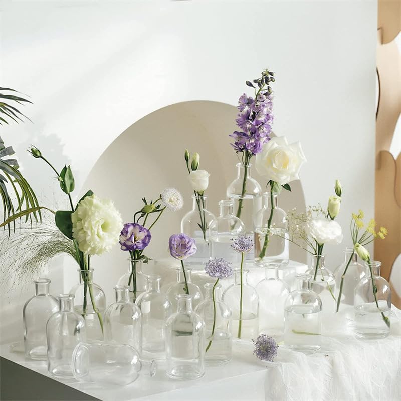 YOUEON vase côte à côte avec règle pour comparaison d'échelle