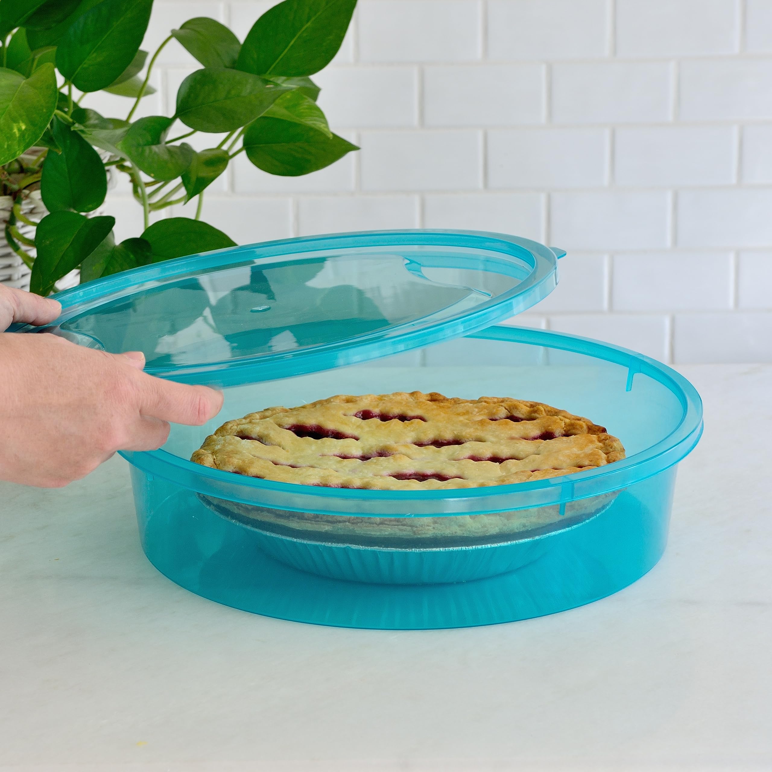Youngever en usage transport contenant une tarte, sûr pour déplacements