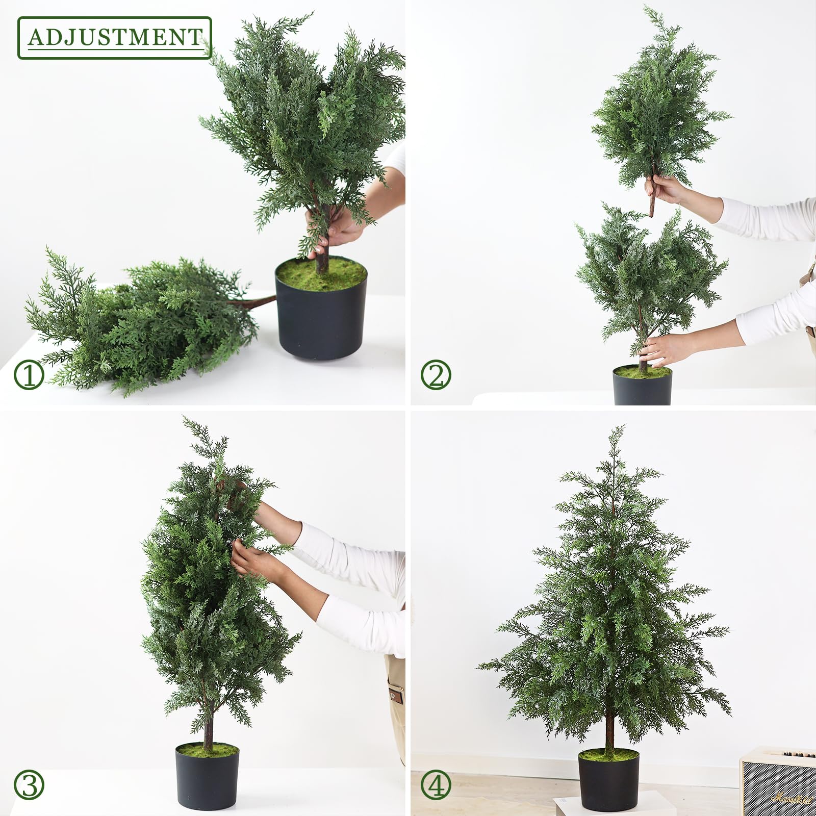 YXZZWL lot de deux sapins cèdre idéal pour encadrer une entrée