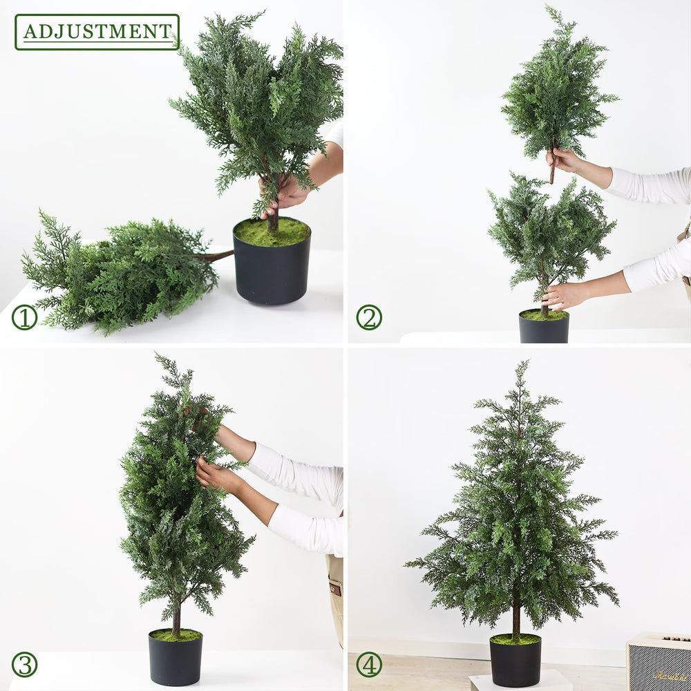 YXZZWL lot de deux sapins cèdre idéal pour encadrer une entrée