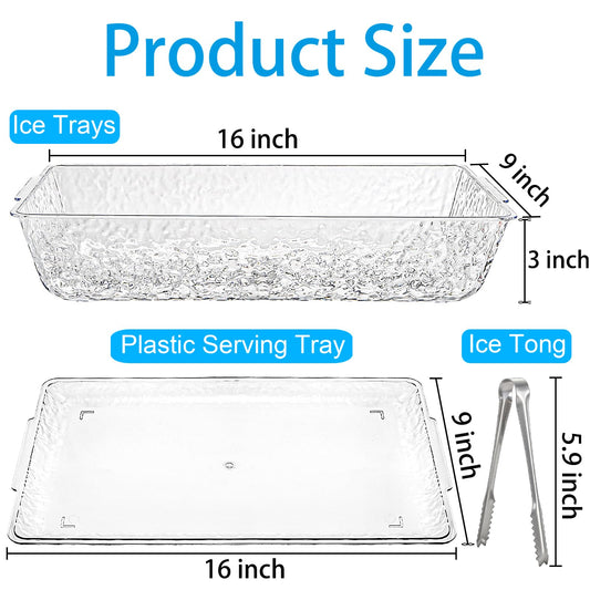 ZENFUN gros plan sur la double couche et compartiment à glace pour conservation