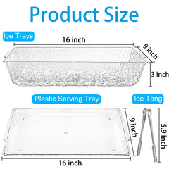 ZENFUN gros plan sur la double couche et compartiment à glace pour conservation