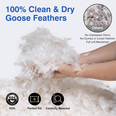 zibroges détail du tissu 600 fils, toucher soyeux pour confort immédiat