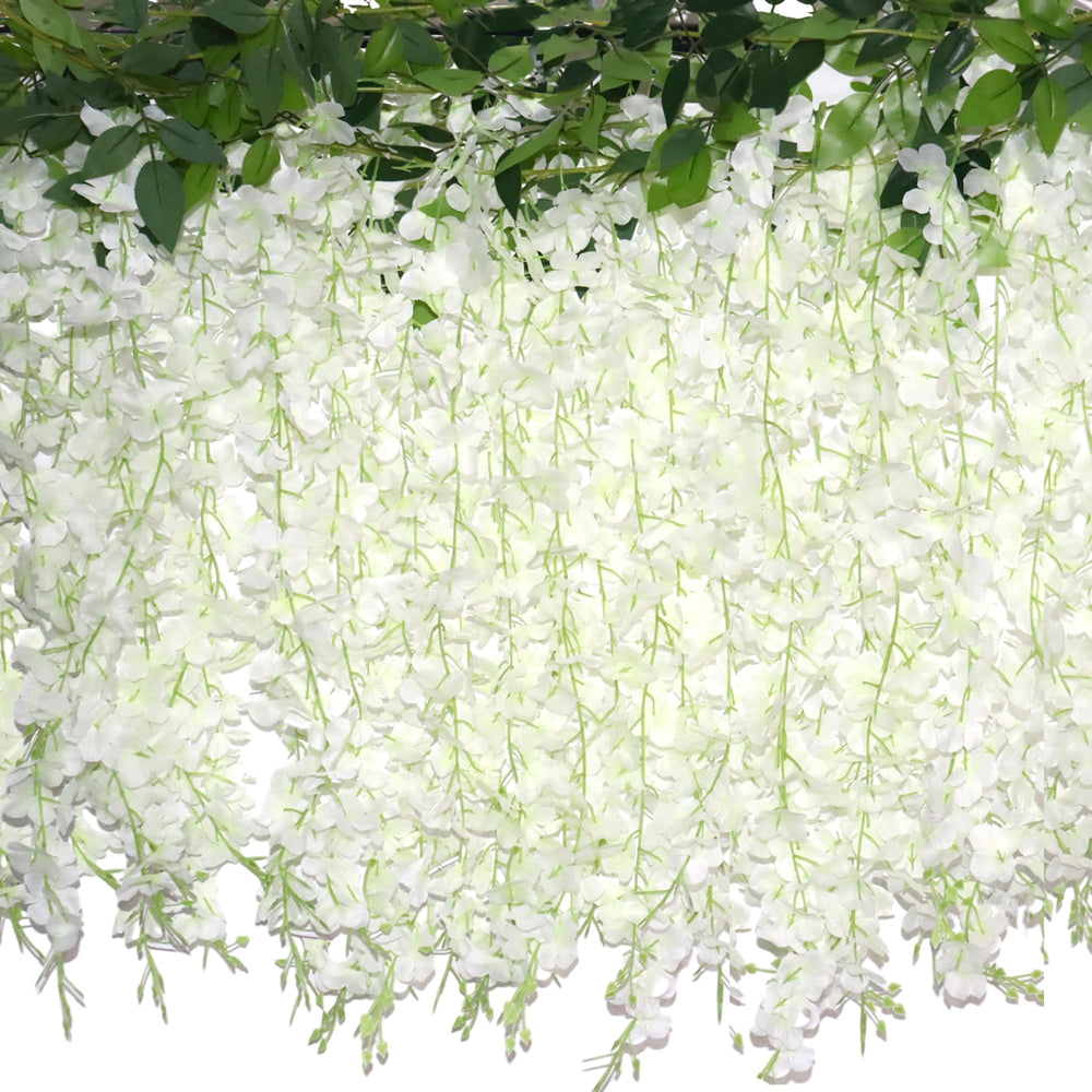 ZINHO glycine face packaging montrant l'ensemble prêt à poser et gain de temps