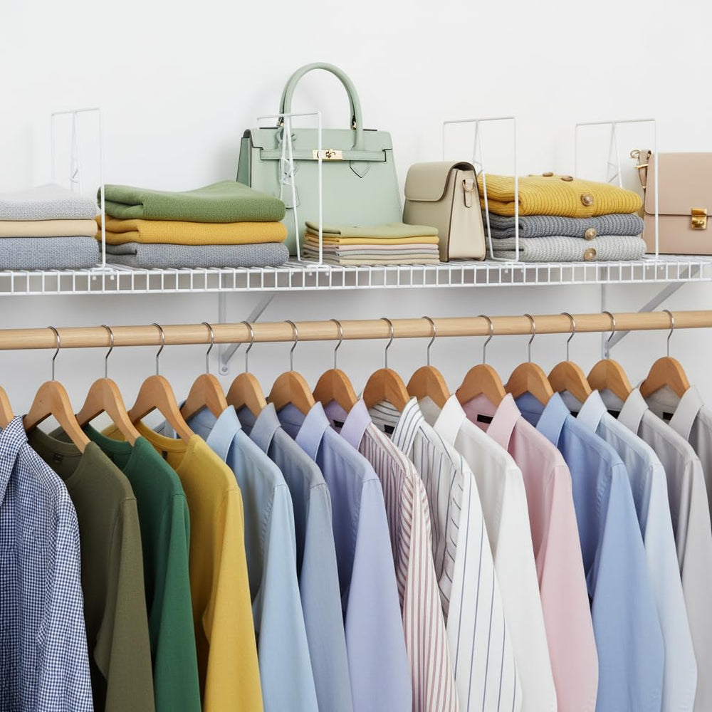 ziroland comparaison de taille montrant échelle et proportion