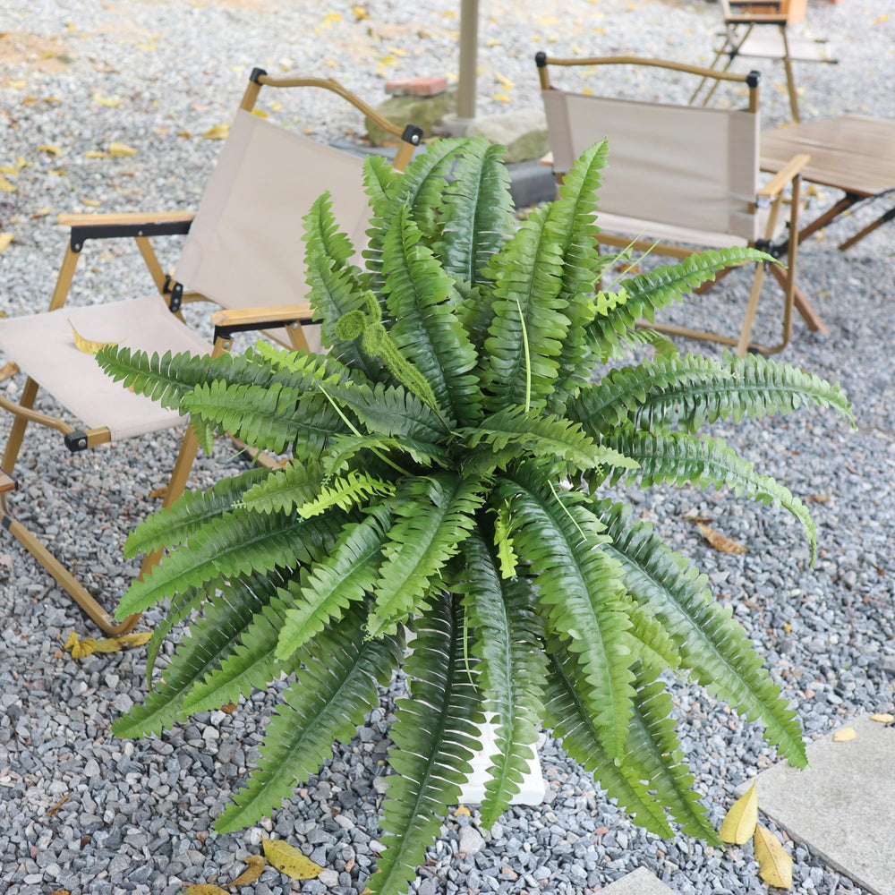 zooFernzoom jardinière d'intérieur apportant volume et design soigné