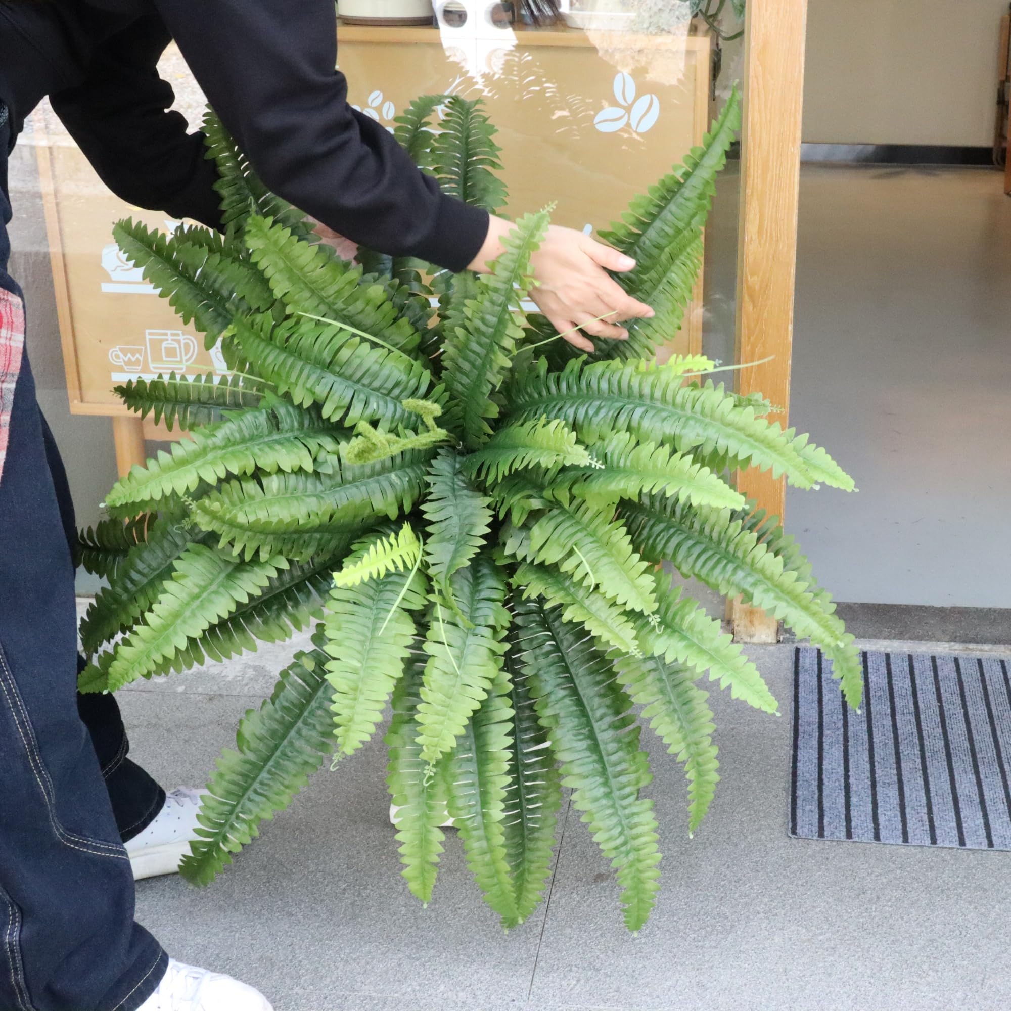 zooFernzoom détail des tiges fil de fer pour modeler et ajuster la forme