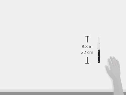 ZWILLING détail manche trois-rivets offrant prise ergonomique sûre