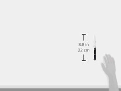 ZWILLING détail manche trois-rivets offrant prise ergonomique sûre